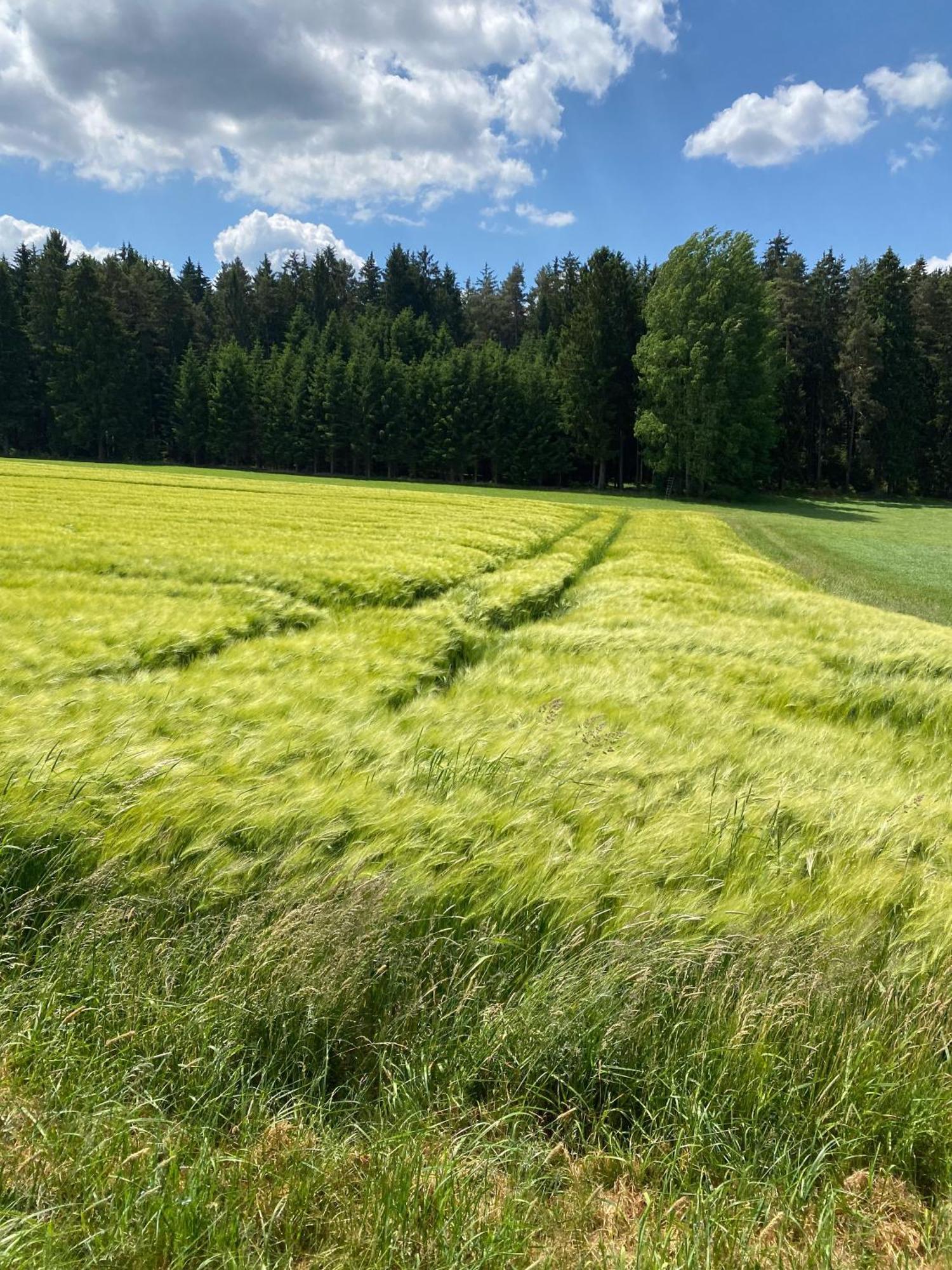 Haus Mit Geschichte In Maehring Appartement Buitenkant foto